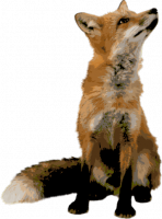 MrFox