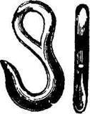 image.jpeg.1651cc1a28814a3d5d328ad9eaa486fa.jpeg
