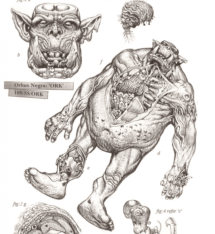 Screenshot_2020-07-16 Ксенология - Форум - WarhammerGames Ru(1).png