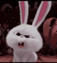 huh-rabbit.gif.f2c1cf4d0f74412f5af2eb369783f509.gif