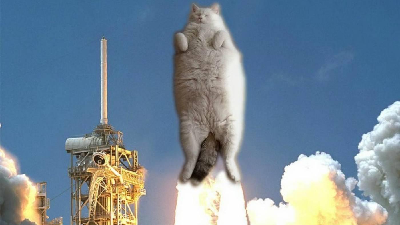 Кошки полетели. Кот на ракете. Смешная ракета. Ракета в космосе. Ракета и кот смешное.