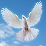 Илия Пророк